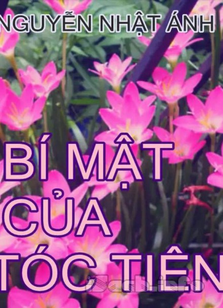 Bí mật của Tóc Tiên