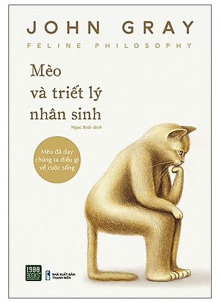 Mèo Và Triết Lý Nhân Sinh &#8211; Mèo Đã Dạy Chúng Ta Điều Gì Về Cuộc Sống