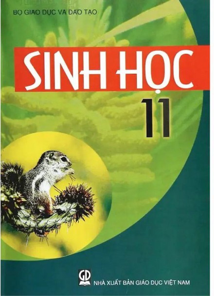 Sách Giáo Khoa Sinh Học 11 &#8211; Sách Sinh học 11 nâng cao